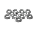 Silver Nickel